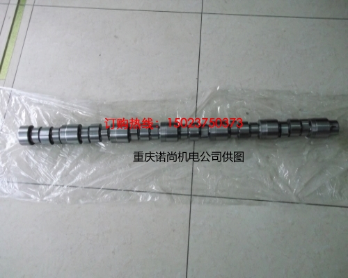 康明斯凸輪軸3066882