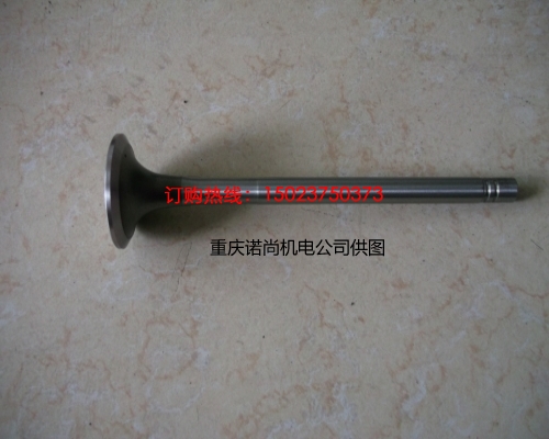 康明斯NT855-C250S10發動機進氣門135957