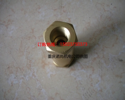 重慶康明斯單向閥178079