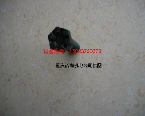 重慶康明斯螺栓207386