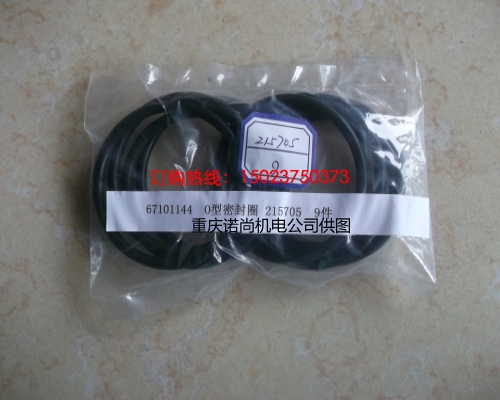 康明斯NTA855-C360S10發(fā)動機(jī)O型密封圈215705