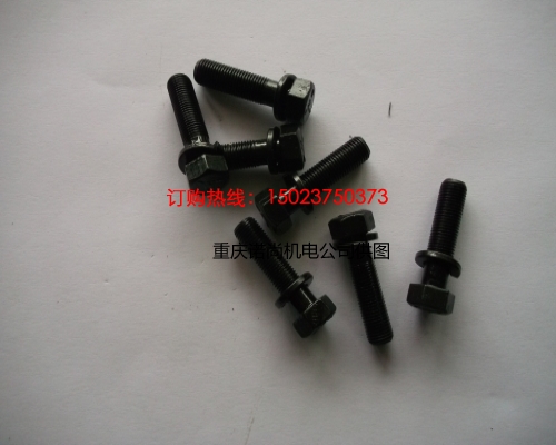 河南康明斯NT855后油封座帶墊螺栓3010594