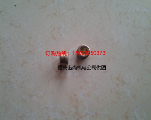 岳陽康明斯NT855節溫體殼管塞3013786