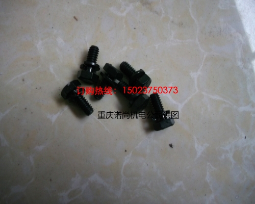 惠州康明斯NT855水蓋螺拴3013904