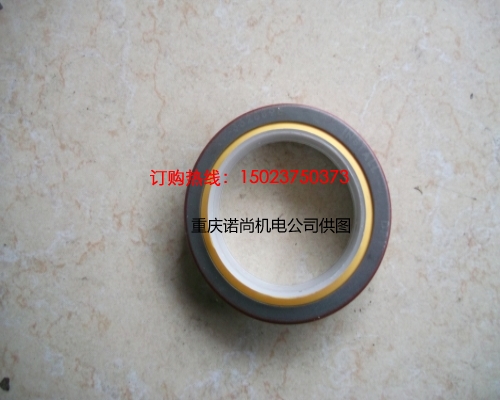 重慶康明斯KT19-M425漁檢發動機油封3628895
