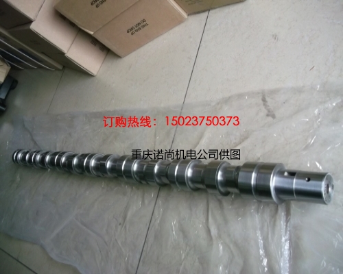 天水康明斯NT855凸輪軸3025517