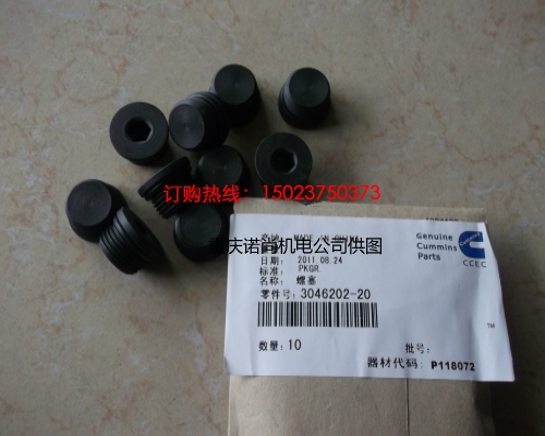 重慶康明斯螺塞3046202