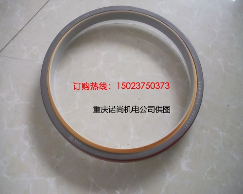 重慶康明斯后油封3082142