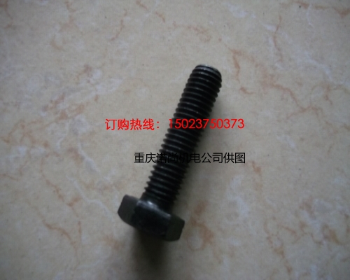 康明斯六角螺栓3165922