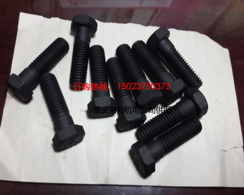重慶康明斯六角螺栓S106