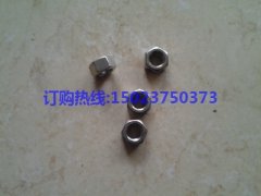 重慶康明斯六角螺母3056158