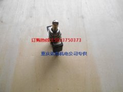 康明斯跳動(dòng)式開(kāi)關(guān)113527