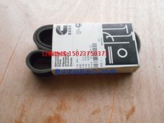 康明斯多槽皮帶3034943