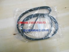 康明斯QSC8.3-C發動機水泵皮帶3289157