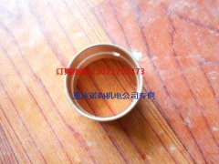 重慶康明斯KT19-C450發動機襯套205133