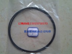 液壓泵支架密封圈3883042M11-C225H發(fā)動(dòng)機(jī)配件