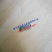 重慶康明斯K19燃油泵螺絲蓋110058
