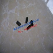 重慶康明斯NTA855主軸蓋圓柱銷202903