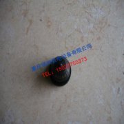 內(nèi)江康明斯NTA855油嘴3018813噴油器油杯