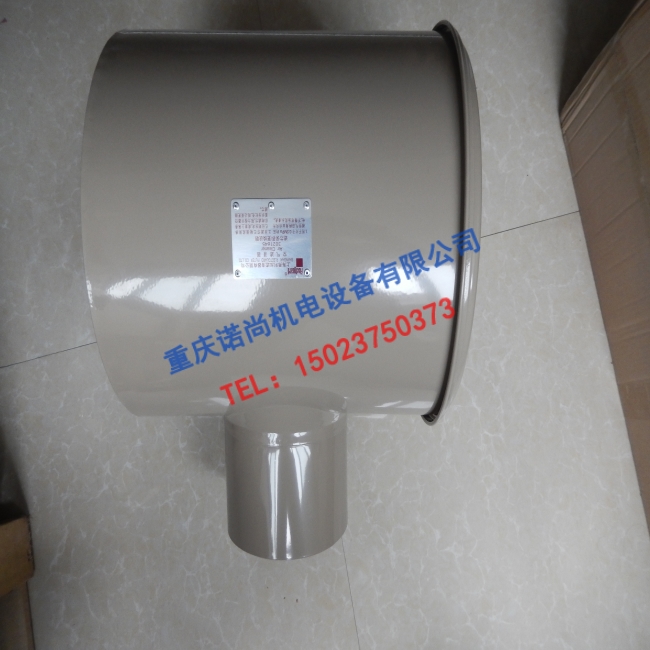云南康明斯NT855空濾器總成3021645-29